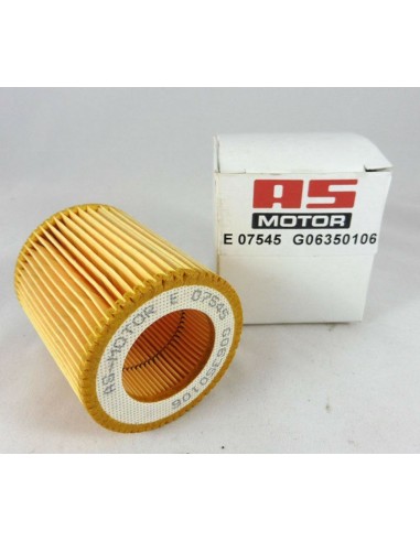 Filtro de aire Motores AsMotor 2T